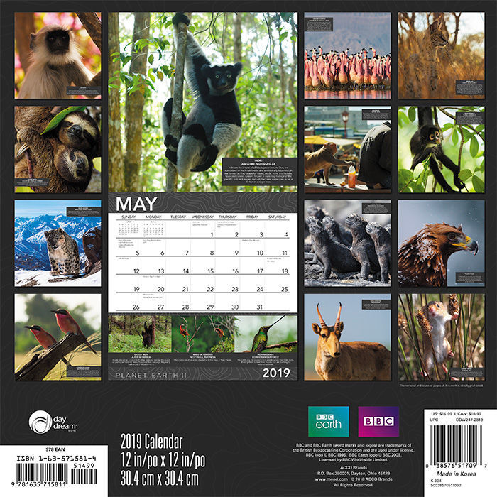 Help your boss keep track of deadlines while enjoying the best animal photos